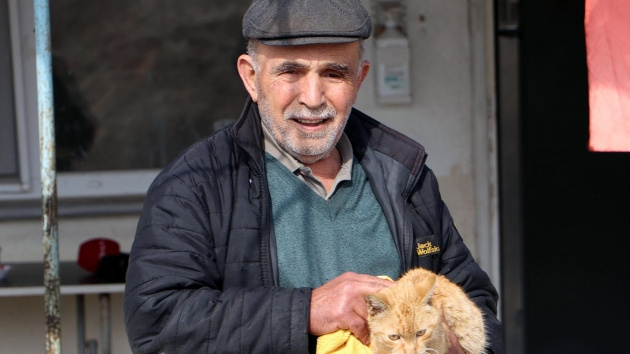 Sokak hayvanlarının kahvehanesi